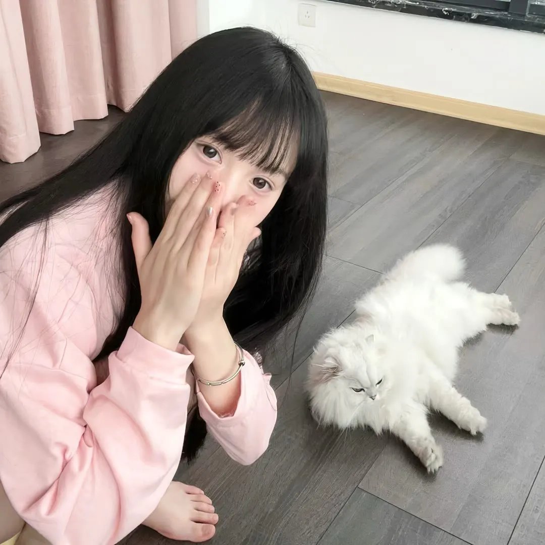 猎罪图鉴